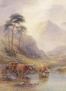 Highland cattle in a stream unknow artist